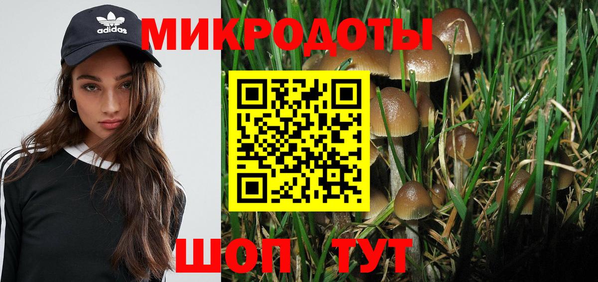 Тамбов  Галлюциногенные грибы Psilocybe  Вход с VPN 