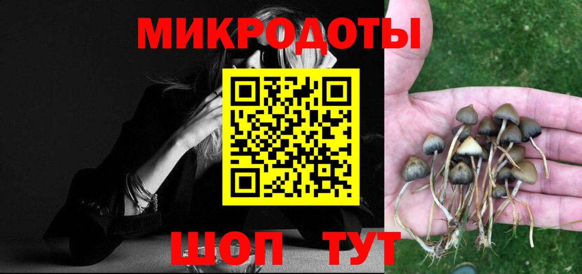 Галлюциногенные грибы мицелий Тамбов